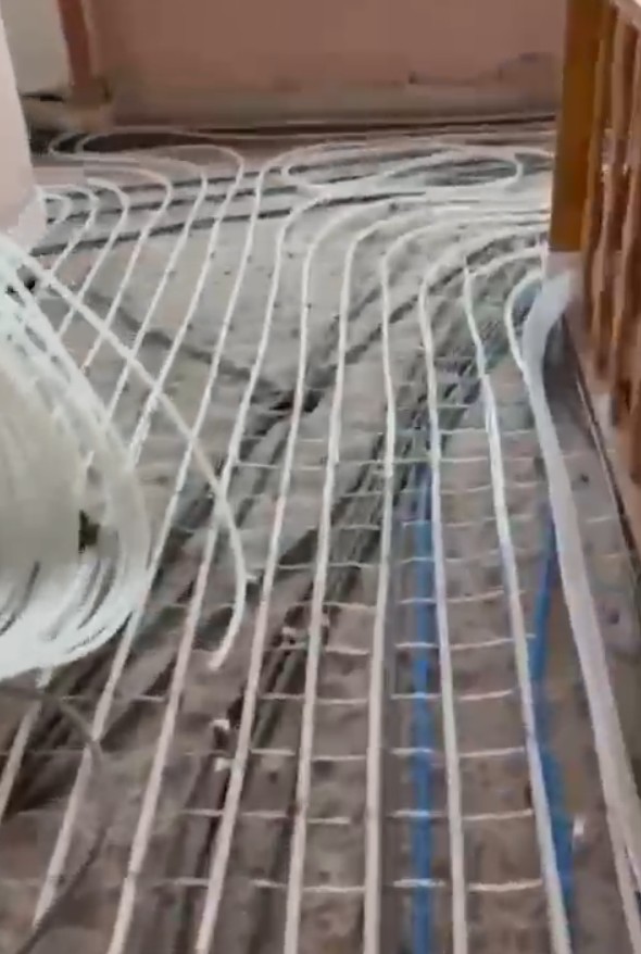 v1